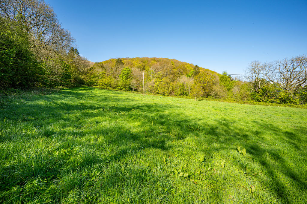 Field/Pasture Land - click for photo gallery